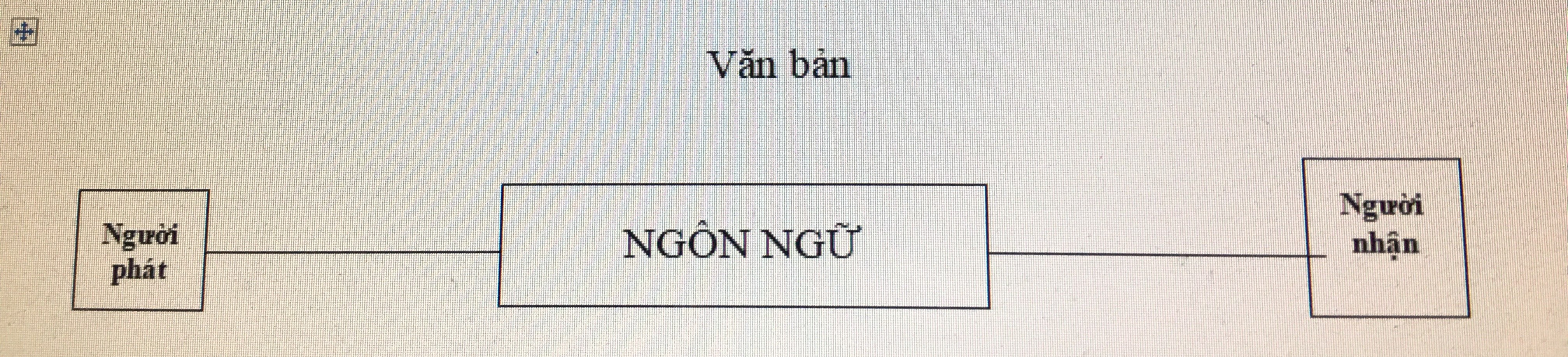 Hệ thống một ngôn ngữ