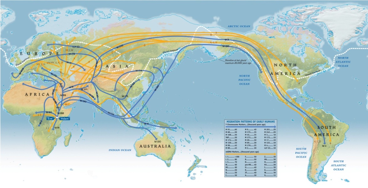 Một giả thuyết về nguồn gốc người Việt dựa trên bằng chứng nhân chủng học phân tử