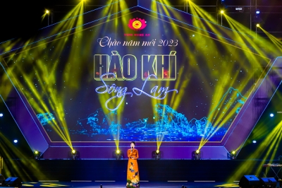 Nghệ An đẩy mạnh các hoạt động văn hóa nghệ thuật trong dịp Tết Quý Mão năm 2023