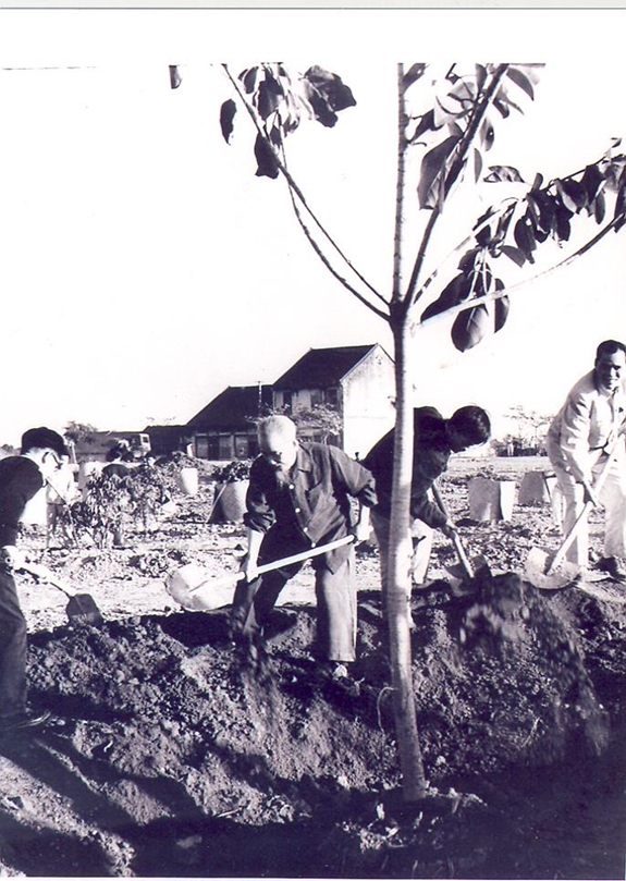 Ngày 11/01 - Ngày Tết trồng cây do Bác Hồ khởi xướng